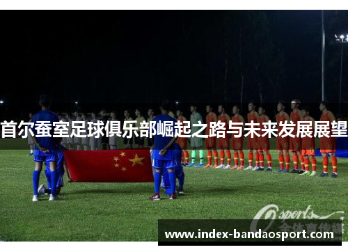 首尔蚕室足球俱乐部崛起之路与未来发展展望 首尔蚕室足球俱乐部崛起之路与未来发展展望