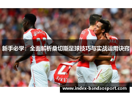 新手必学：全面解析桑切斯足球技巧与实战运用诀窍